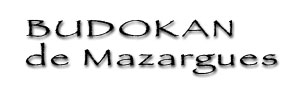 Budokan de Mazargues